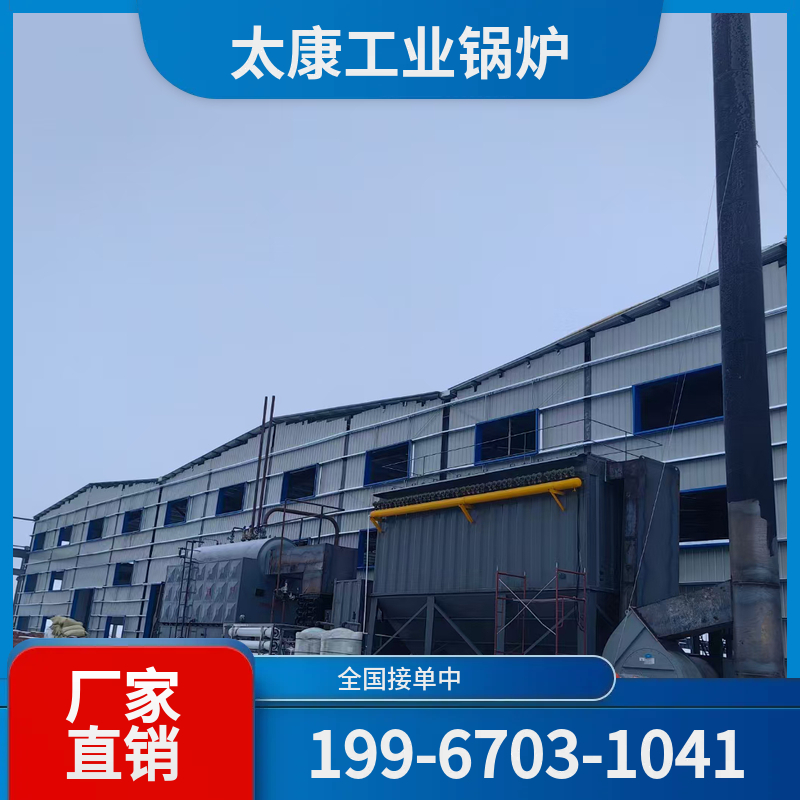 三门峡生物质蒸汽锅炉